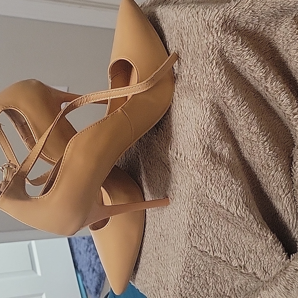 Sexy Heeled Shoe